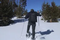 Gardiner Yellowstone National Park Snowshoe Tour 5 hr thumbnail 1