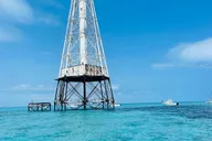 Islamorada Snorkel and Sandbar Tour thumbnail 4