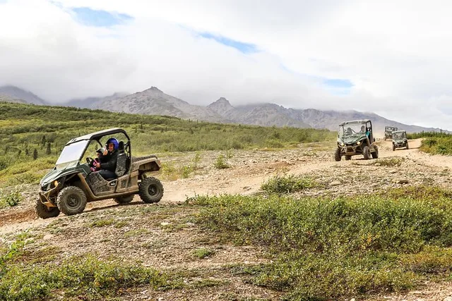 Denali Wilderness ATV Adventure Tour 2.5 hr - Image 5