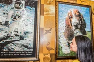 Orlando WonderWorks All-Access Entry thumbnail 6