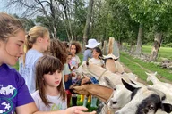 Hyde Park Farm Tour at Clover Brooke thumbnail 5