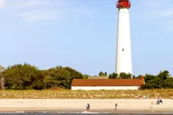 Cape May Whale and Dolphin Watching Cruise thumbnail 3