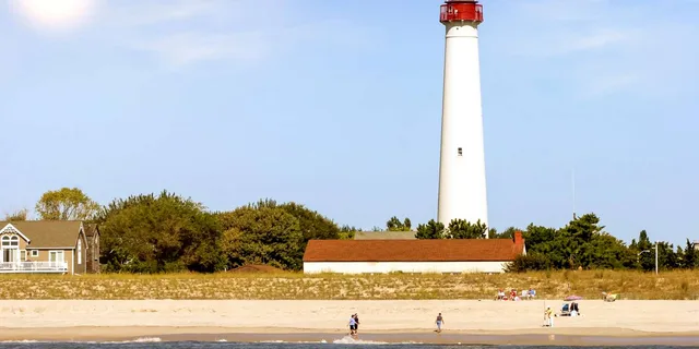 Cape May Whale and Dolphin Watching Cruise - Image 3