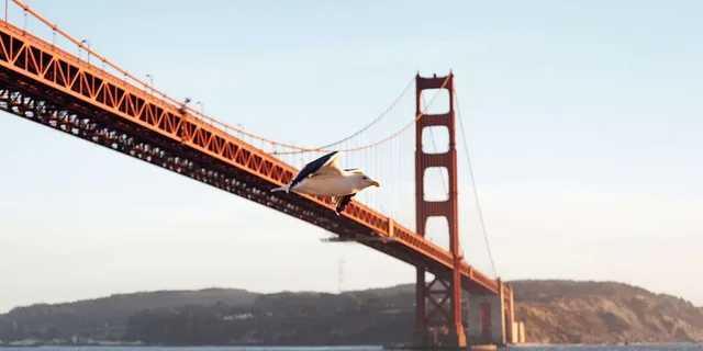 San Francisco Mother's Day Bay Cruise - Image 4