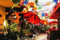 San Diego Driving Tour: Gaslamp Quarter & Balboa Park thumbnail 4