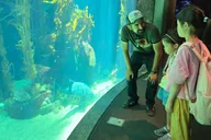 Los Angeles Museum Row Tour: Space, Dinosaurs, and Sports thumbnail 3