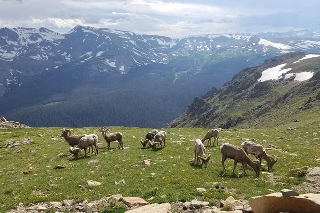 Rocky Mountain National Park Alpine Visitors Center Tour - Image 5