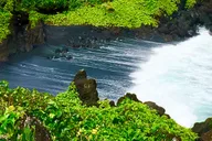 East Maui Rainforest and Road to Hana Tour thumbnail 3