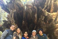 Groveland Big Trees Hike & Riverside Cookout thumbnail 4