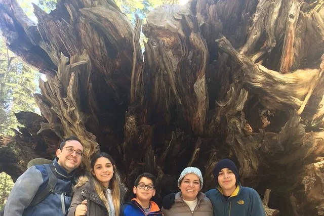 Groveland Big Trees Hike & Riverside Cookout - Image 4