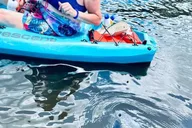 Cocoa Beach Dolphin and Manatee Kayak Tour thumbnail 5