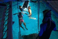 Kailua-Kona Night Snorkeling with Manta Rays 2.5 hr thumbnail 2