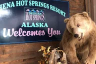 Fairbanks Northern Lights and Chena Hot Springs Tour thumbnail 2