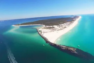 Panama City Beach Fishing and Shelling Tour