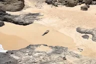 O'ahu Circle Island Tour for Couples thumbnail 2