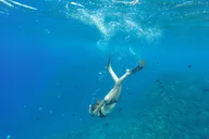 Maui Lanai Island Snorkeling Tour 4 hr thumbnail 6