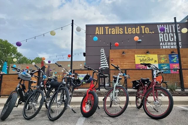 Dallas Electric Bike Rental - Image 2