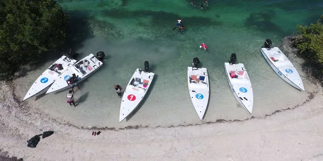Key West Eco Sandbar Snorkeling Tour - Image 3
