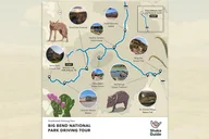 Big Bend National Park Self-Guided Audio Tour thumbnail 5