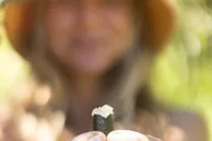 Maui Farm Tour thumbnail 5