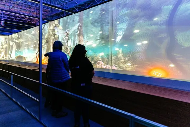 Austin Hologram Zoo Experience - Image 4