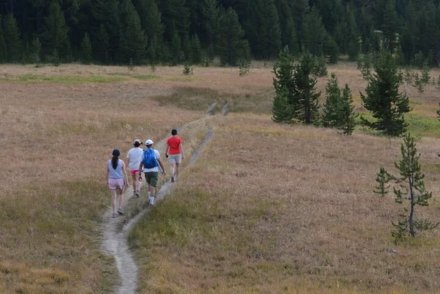 Yellowstone Hike to Lake Shoshone (Private) - Image 4