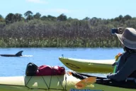 Charleston Kayak Eco Tour 2 hr thumbnail 3