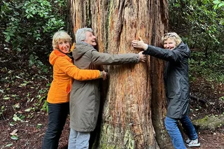 San Francisco Muir Woods Private Tesla Tour