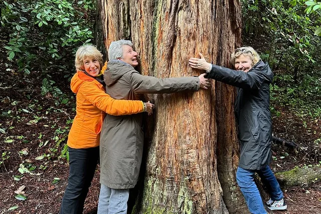 San Francisco Muir Woods Private Tesla Tour - Image 1