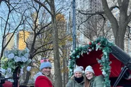 New York City Central Park Horse-Drawn Carriage Tour thumbnail 5