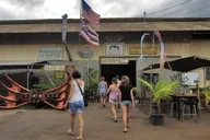 Oahu Secret Spots Tour thumbnail 4