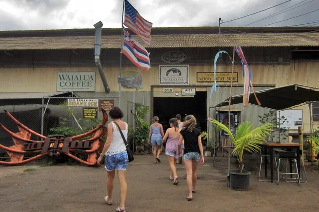 Oahu Secret Spots Tour - Image 4