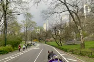 New York Central Park Horse Carriage Ride thumbnail 3