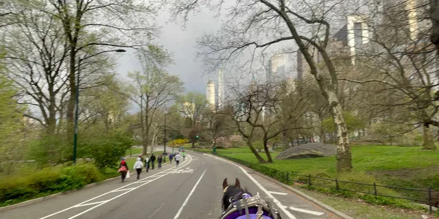 New York Central Park Horse Carriage Ride - Image 3
