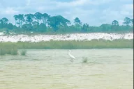 Panama City Beach Stand Up Paddle Tour thumbnail 3