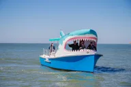 Madeira Beach Dolphin Sightseeing Cruise 1 hr thumbnail 1