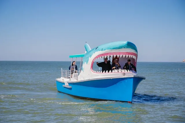 Madeira Beach Dolphin Sightseeing Cruise 1 hr - Image 1