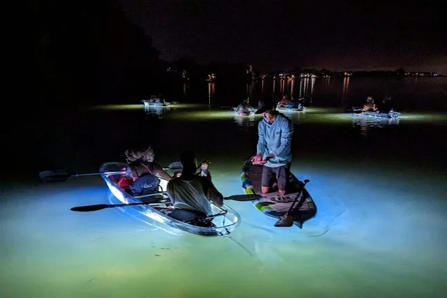 Anna Maria Island Paddleboard Tour - Image 3