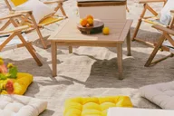 Miami Beach Private Lounge and Picnic Setup thumbnail 1
