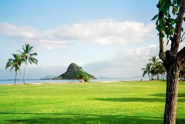Oahu Town and Country Tour - Image 3