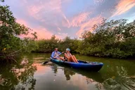 Cocoa Mangrove Tunnel & Bio Comb Jelly Sunset Tour thumbnail 3