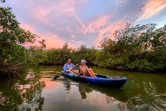 Cocoa Mangrove Tunnel & Bio Comb Jelly Sunset Tour - Image 3