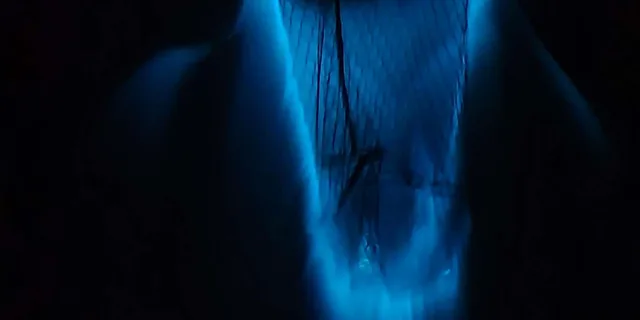 Cocoa Beach Bioluminescence Boat Tour 2 hr - Image 1
