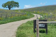 Santa Barbara E-Bike Wine Tour 7 hr thumbnail 4