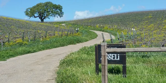 Santa Barbara E-Bike Wine Tour 7 hr - Image 4