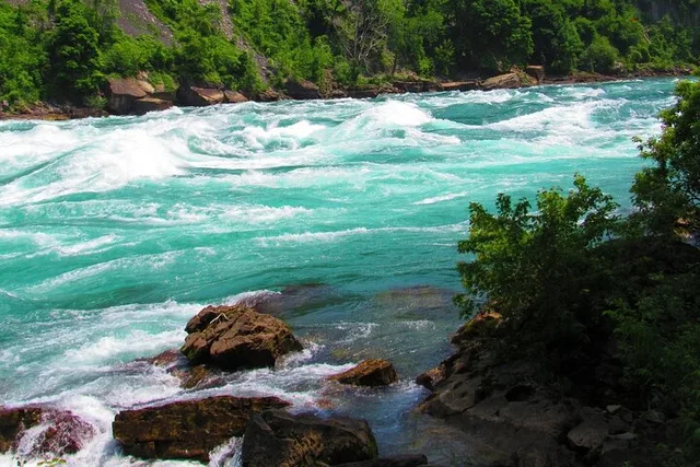 Niagara River Gorge Hiking Tour - Image 6