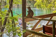 Silver Springs Jungle Kayaking and Paddleboarding thumbnail 2