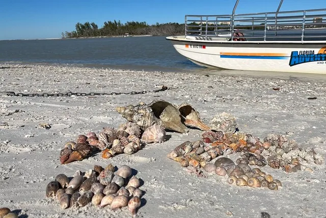 Marco Island Shelling Trip on Kice Island 3 hr - Image 3