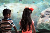 San Antonio Zoo Admission Ticket thumbnail 5