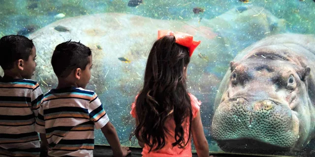 San Antonio Zoo Admission Ticket - Image 5